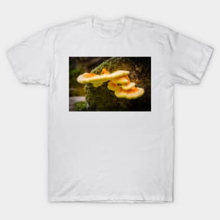 Chicken of the Woods 2 T-Shirt